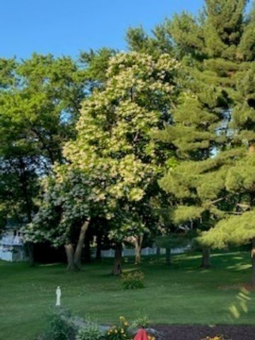 120 Apple Avenue, Lemont, IL 60439