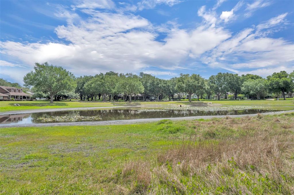 Image 4 of property listing at 13536 SUNSET LAKES CIRCLE, Winter Garden, FL 34787