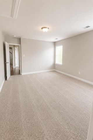 21275 Catalina Palm Drive, Cypress, TX 77433