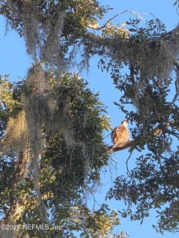 95958 SURREY Place, Fernandina Beach, FL 32034