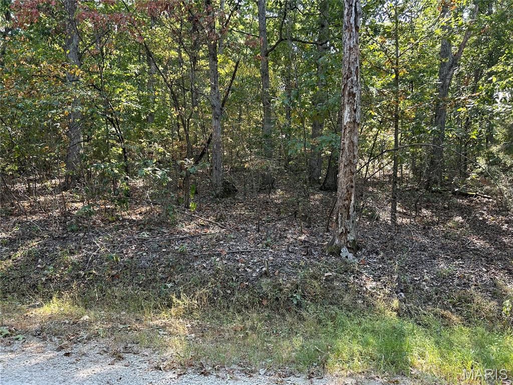 1026 King Arthur Court, French Village, MO 63036