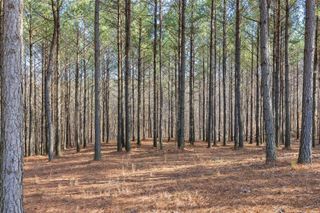 260 Compass Drive Rb227b, Jasper, TN 37347