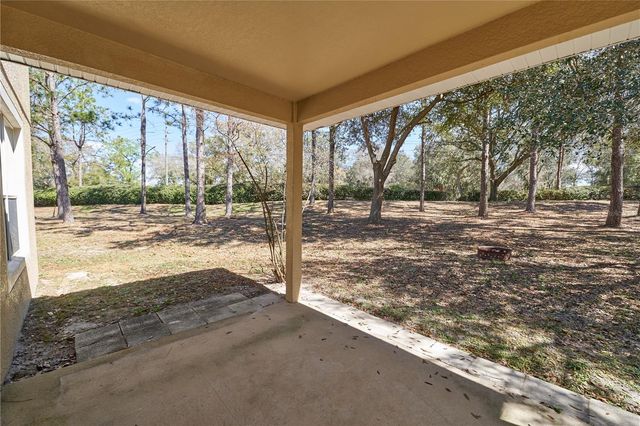 33840 TERRAGONA DRIVE, Sorrento, FL 32776