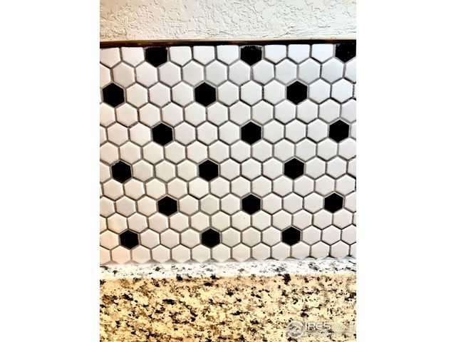 804 Summer Hawk Dr 9105, Longmont, CO 80504