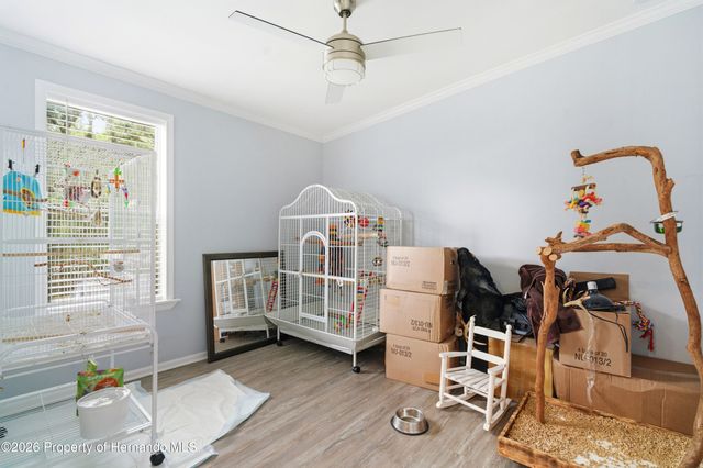 6111 Cartwrite Road, Spring Hill, FL 34609