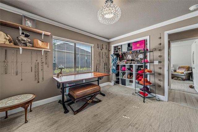 13247 THOROUGHBRED DRIVE, Dade City, FL 33525