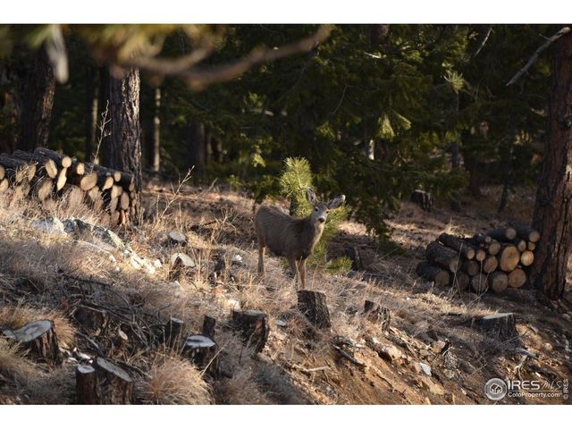 1000 Alaska Rd, Boulder, CO 80302