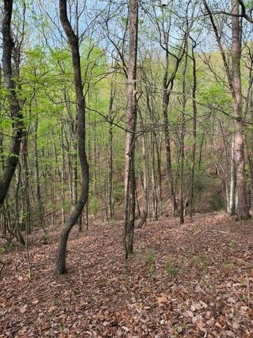 226 Crested Fern Lane, Big Canoe, GA 30143