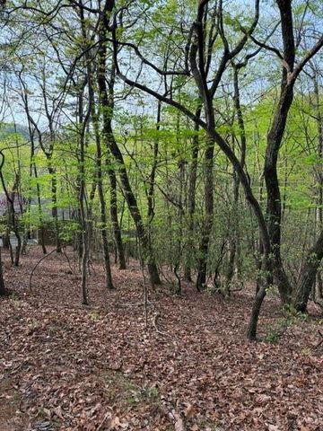 226 Crested Fern Lane, Big Canoe, GA 30143