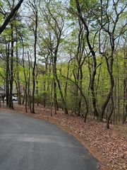 226 Crested Fern Lane, Big Canoe, GA 30143