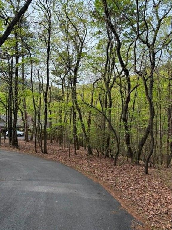 226 Crested Fern Lane, Big Canoe, GA 30143