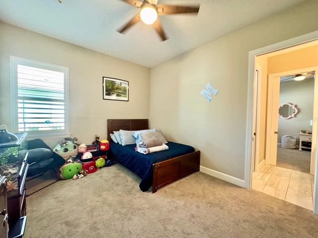 10605 SABELLA DRIVE, Trinity, FL 34655