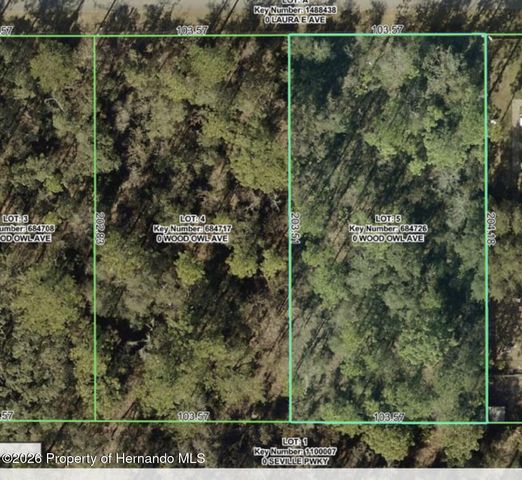 Lot 5 Wood Owl Avenue, Weeki Wachee, FL 34614