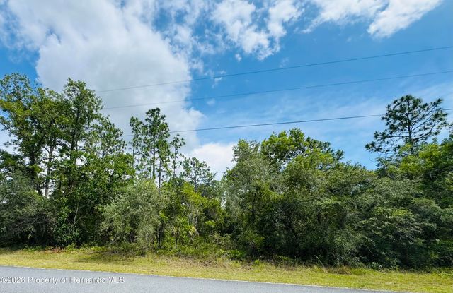 Lot 5 Wood Owl Avenue, Weeki Wachee, FL 34614