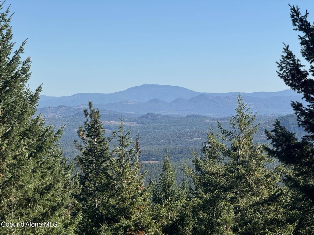 NNA Rustic Way 40 Acres, Spirit Lake, ID 83869