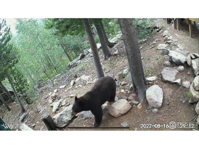 1598 Jicarilla Trl, Red Feather Lakes, CO 80545