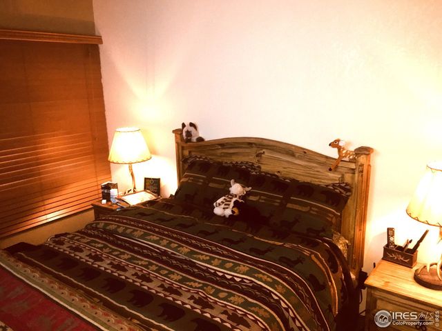 1598 Jicarilla Trl, Red Feather Lakes, CO 80545