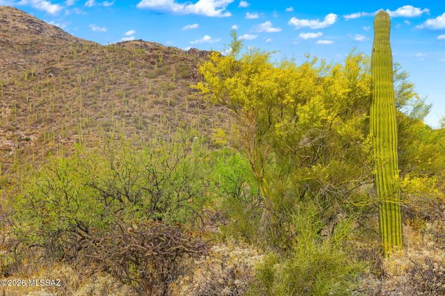 7640 N Camino Sin Vacas, Tucson, AZ 85718