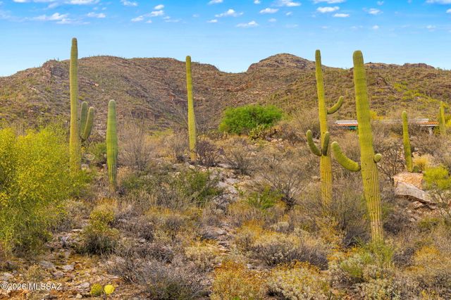 7640 N Camino Sin Vacas, Tucson, AZ 85718