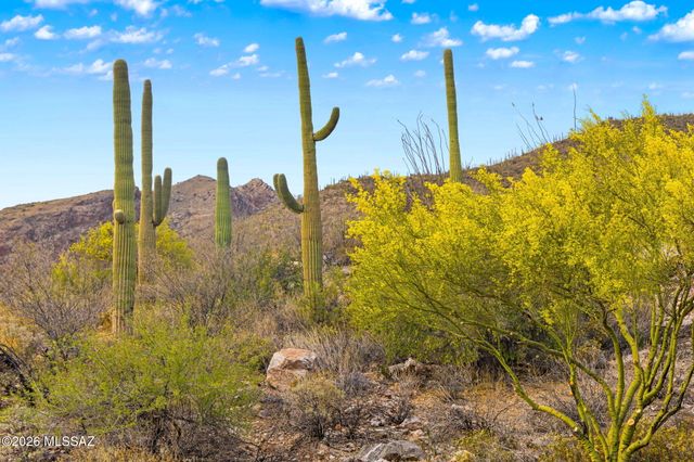 7640 N Camino Sin Vacas, Tucson, AZ 85718