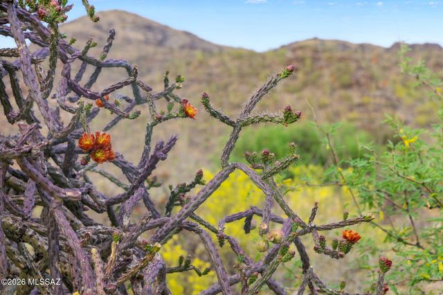 7640 N Camino Sin Vacas, Tucson, AZ 85718