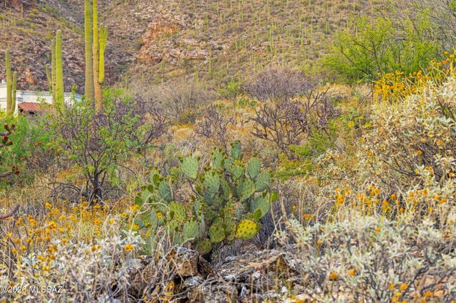 7640 N Camino Sin Vacas, Tucson, AZ 85718