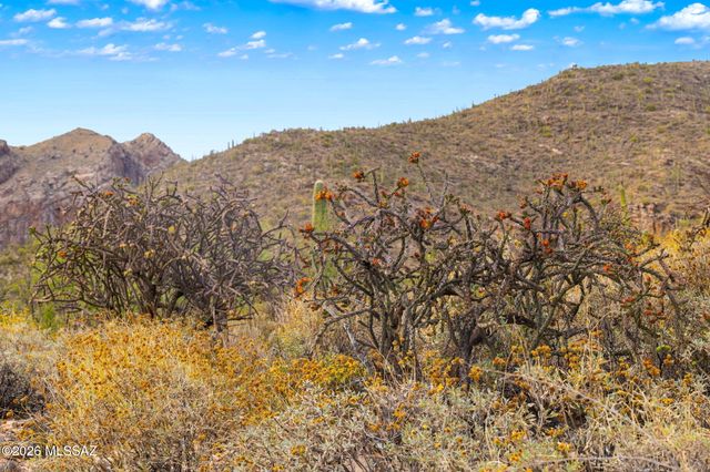 7640 N Camino Sin Vacas, Tucson, AZ 85718