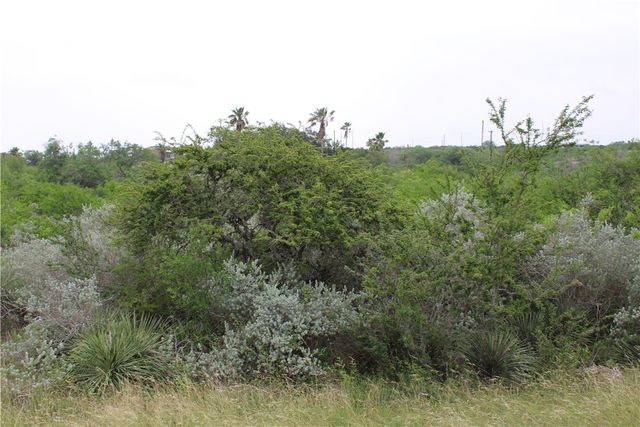 00 Carmel Dr, Sandia, TX 78383