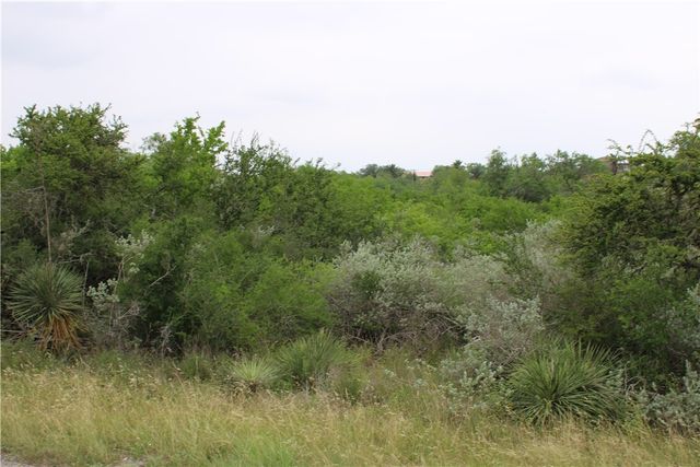 00 Carmel Dr, Sandia, TX 78383