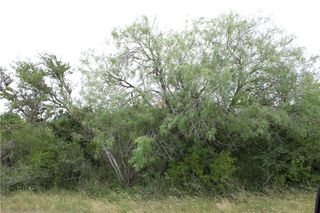 00 Carmel Dr, Sandia, TX 78383
