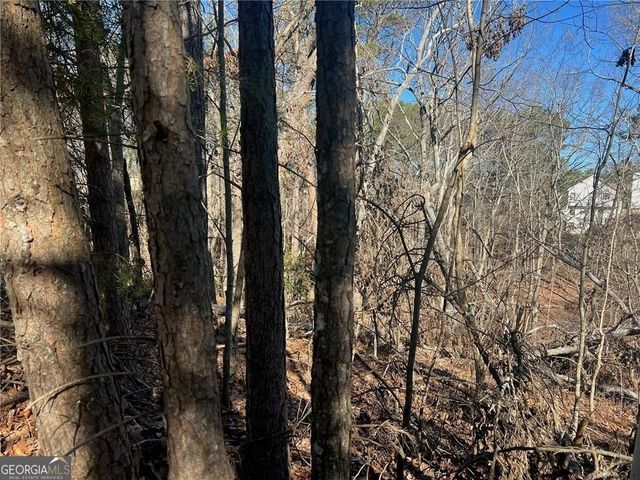 924 Whistler Lane 66, Canton, GA 30114