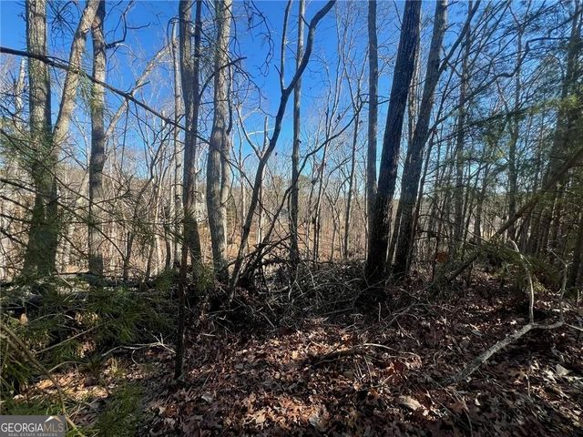 924 Whistler Lane 66, Canton, GA 30114