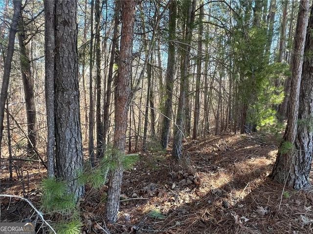 924 Whistler Lane 66, Canton, GA 30114