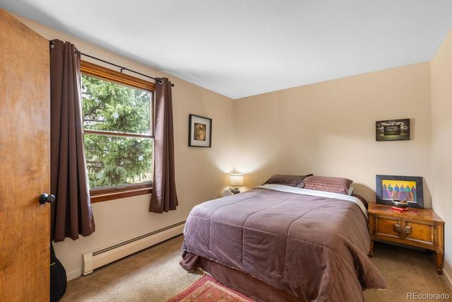 8600 S Warhawk Road, Conifer, CO 80433