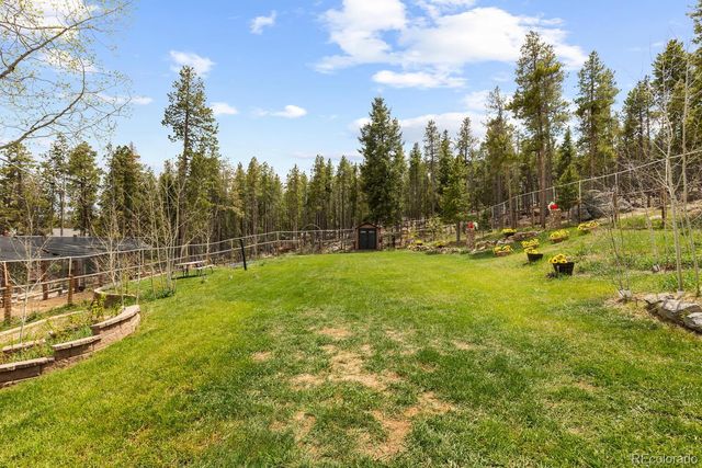 8600 S Warhawk Road, Conifer, CO 80433