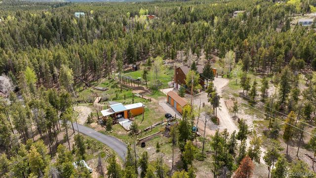 8600 S Warhawk Road, Conifer, CO 80433