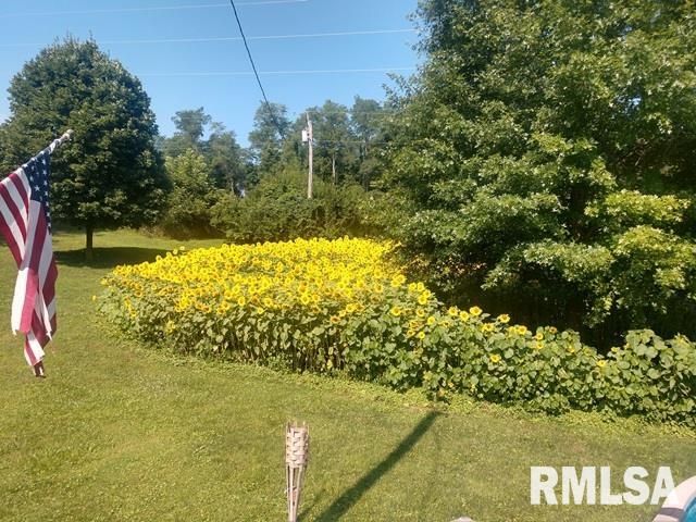 12628 TOWERLINE Road, Pekin, IL 61554