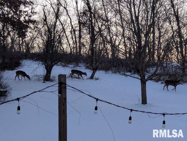 12628 TOWERLINE Road, Pekin, IL 61554