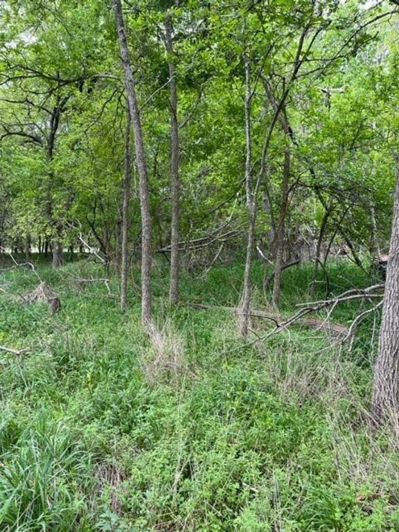 225 Kahana LN, Bastrop, TX 78602