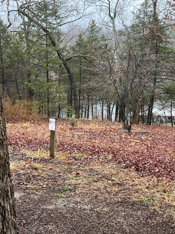 161 Brewster Road, Hollister, MO 65672