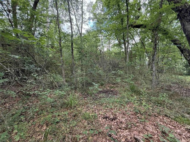 28624 Shawnee Ct, Huntsville, TX 77364