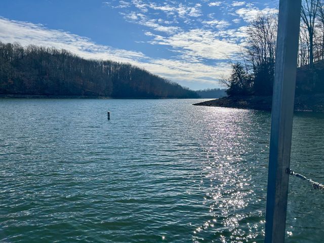 365 Coopers Cv, Lynchburg, TN 37352