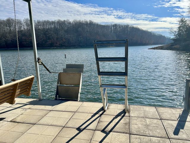 365 Coopers Cv, Lynchburg, TN 37352