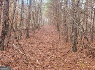 18.22 Talona Road, Ellijay, GA 30540