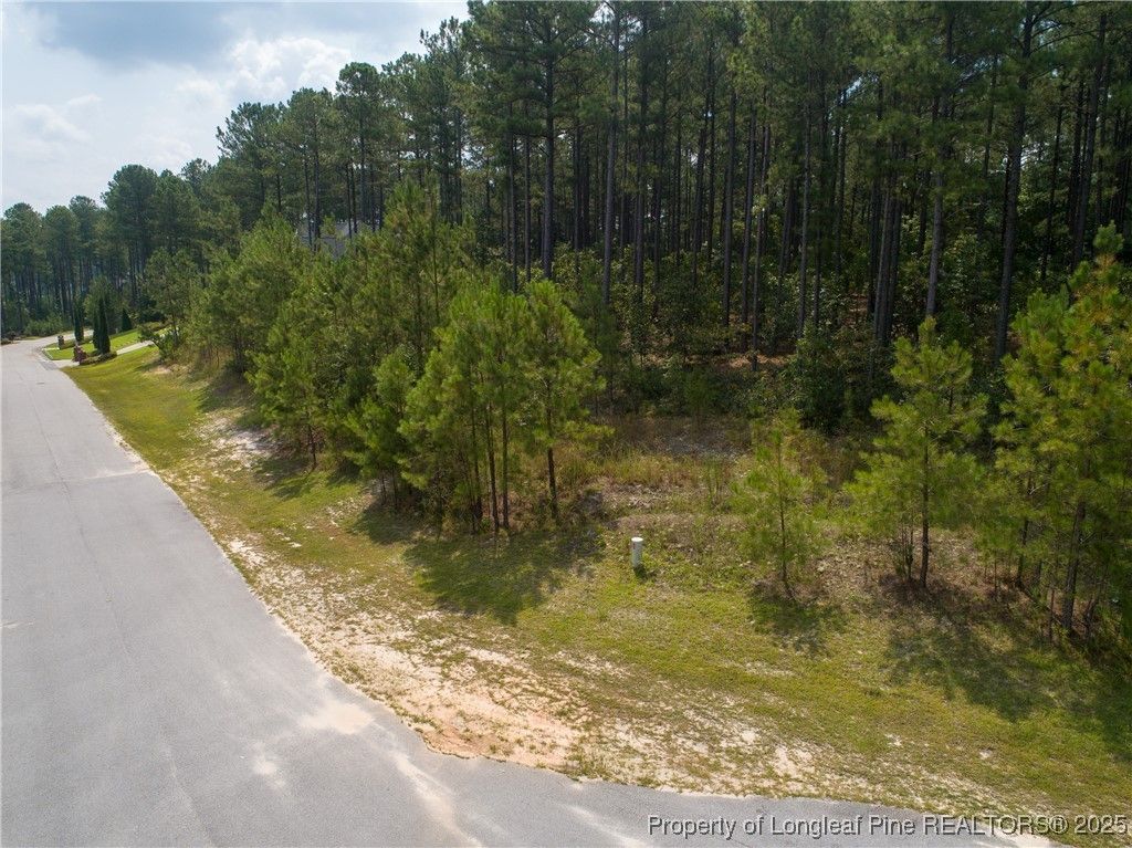 195 Broadlake (643) Lane, Spring Lake, NC 28390 — photo 2
