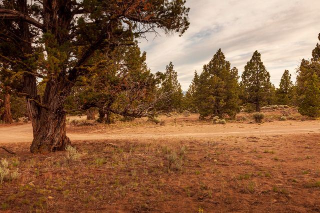 0 RD 25 aka Golden View Ranch Road Lot 30, Bend, OR 97701