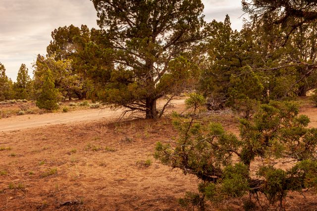 0 RD 25 aka Golden View Ranch Road Lot 30, Bend, OR 97701
