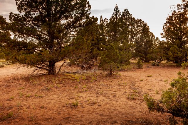 0 RD 25 aka Golden View Ranch Road Lot 30, Bend, OR 97701
