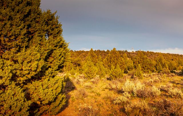 0 RD 25 aka Golden View Ranch Road Lot 30, Bend, OR 97701