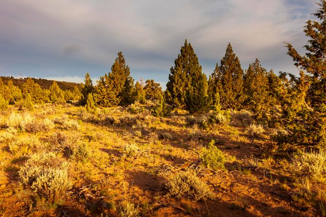 0 RD 25 aka Golden View Ranch Road Lot 30, Bend, OR 97701